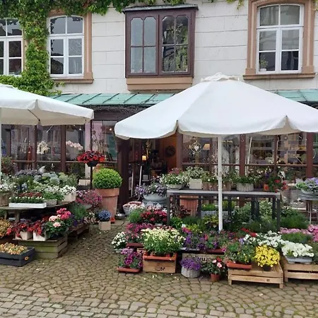Dornroeschen شقة Schieder-Schwalenberg