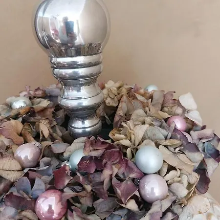 Dornroeschen 아파트 *