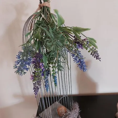 Dornroeschen * 슈나이더슈발렌베르크