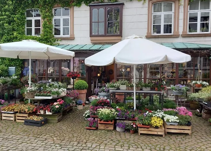 Dornroeschen 公寓 席德尔·施瓦伦贝尔