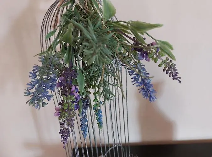 Dornroeschen * 席德尔·施瓦伦贝尔